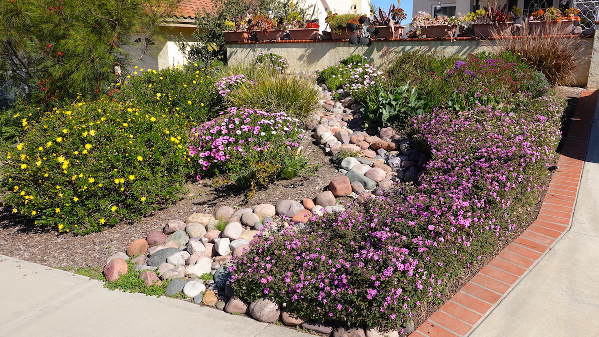 What Is Xeriscaping in Colorado?