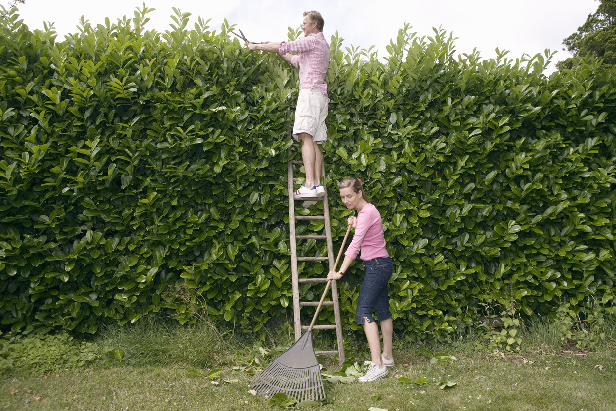 3 Benefits of Working With Local Landscaping Contractors