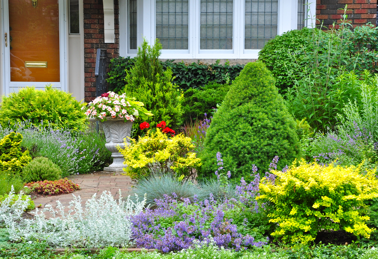Colorado Landscaping Materials: Elegant Alternatives to Standard Sod