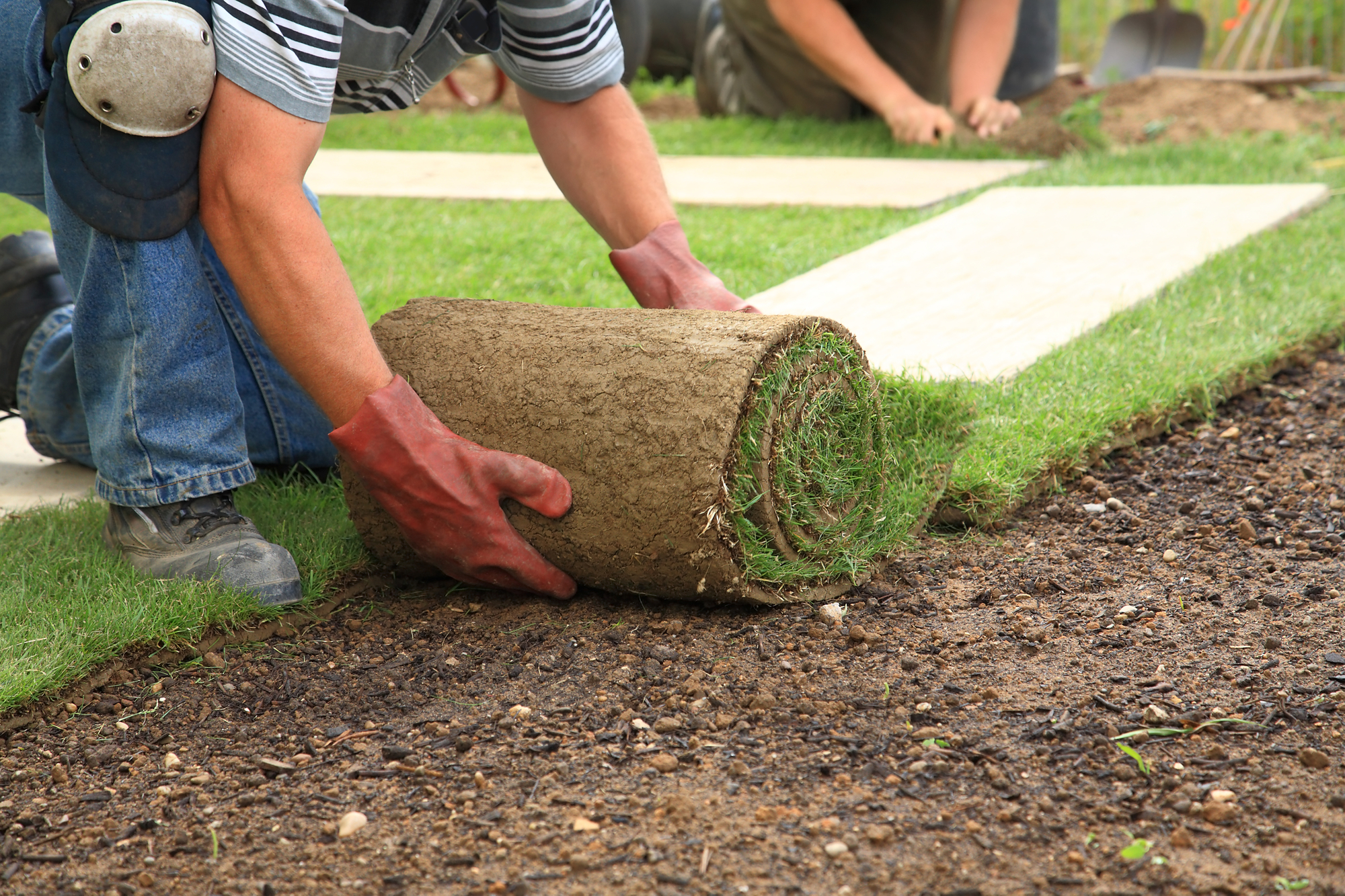 What to Expect From Your Landscaping Estimate